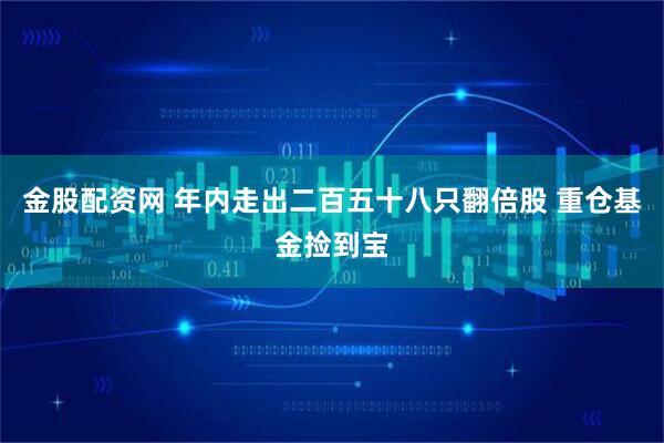 金股配资网 年内走出二百五十八只翻倍股 重仓基金捡到宝