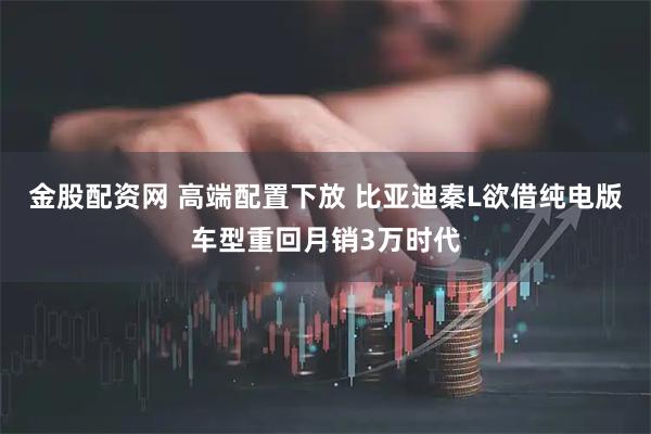 金股配资网 高端配置下放 比亚迪秦L欲借纯电版车型重回月销3万时代