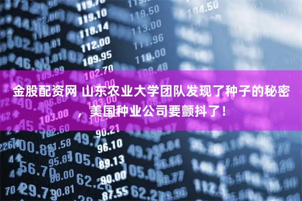 金股配资网 山东农业大学团队发现了种子的秘密，美国种业公司要颤抖了！