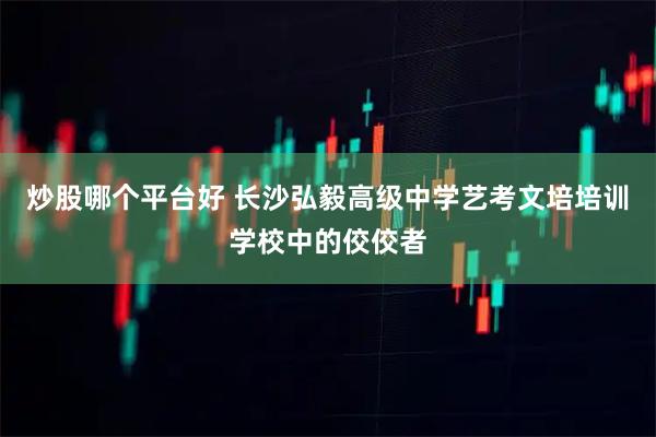 炒股哪个平台好 长沙弘毅高级中学艺考文培培训学校中的佼佼者