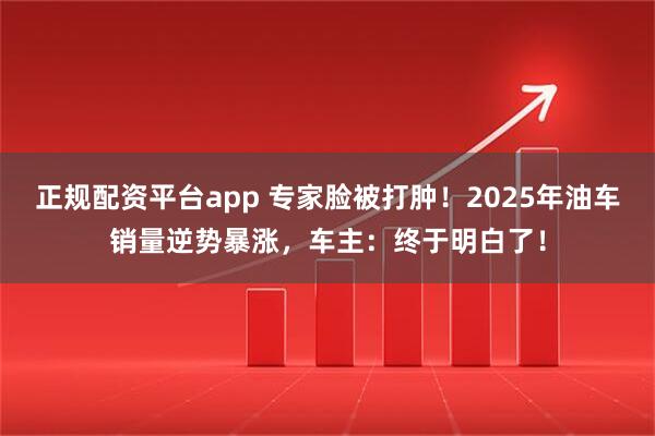正规配资平台app 专家脸被打肿！2025年油车销量逆势暴涨，车主：终于明白了！